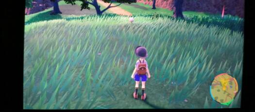 宝可梦朱紫闪光加成三明治配方有哪些